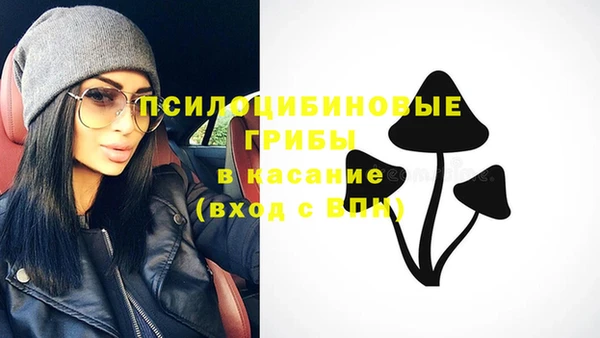 герыч Алзамай